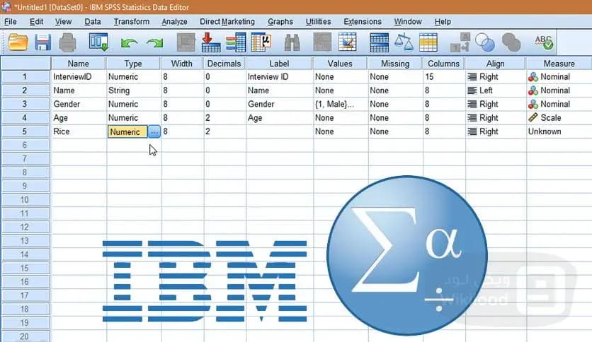 IBM SPSS Statistics 27.0.1 IF026