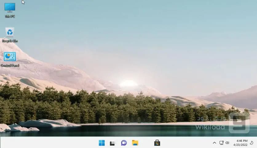 Windows 11 Pro Lite